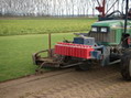 rollrasen herstellen bild 2